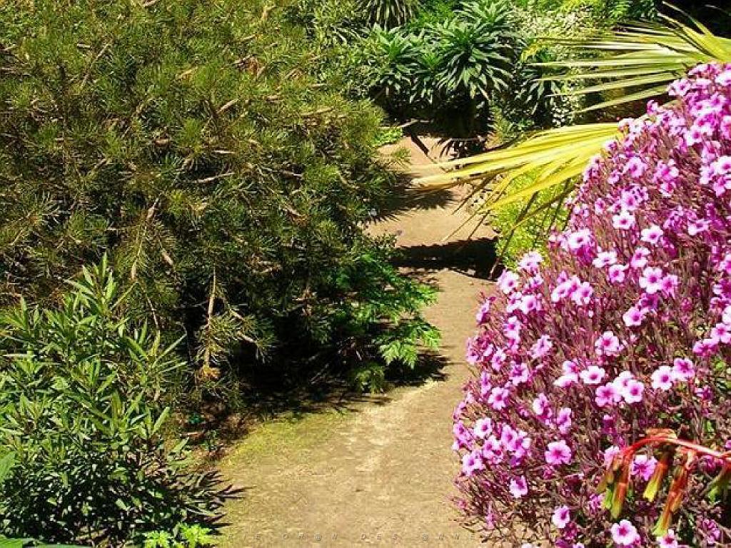 130 Ile de Batz Jardin Georges Delaselle_000021.jpg